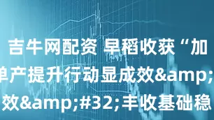 吉牛网配资 早稻收获“加速跑”：单产提升行动显成效&#32;丰收基础稳